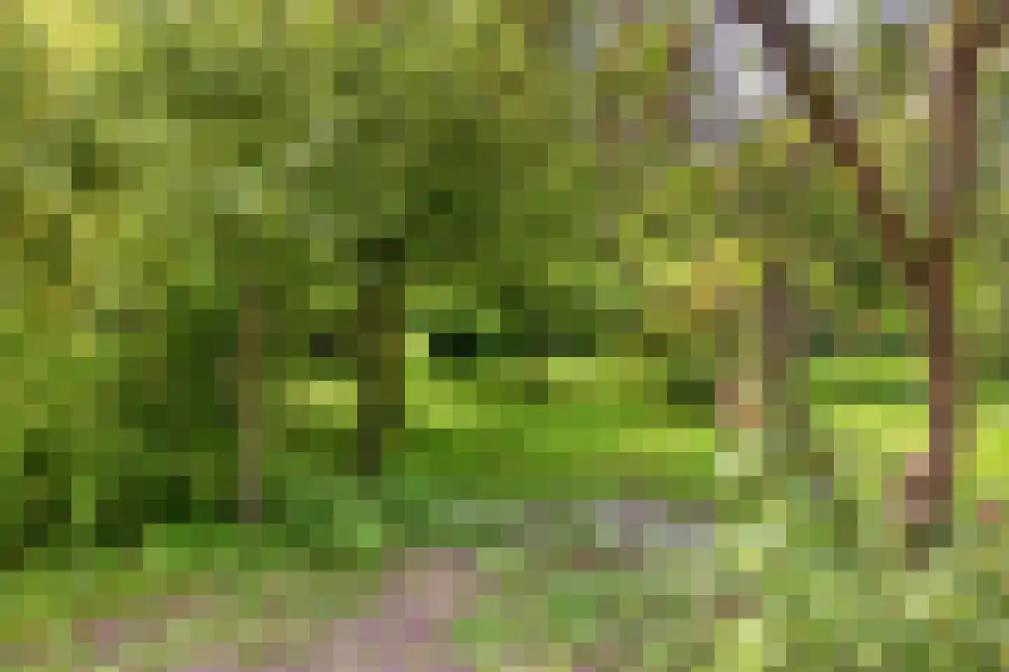 Campweg 3 Sint Philipsland thumbnail 91