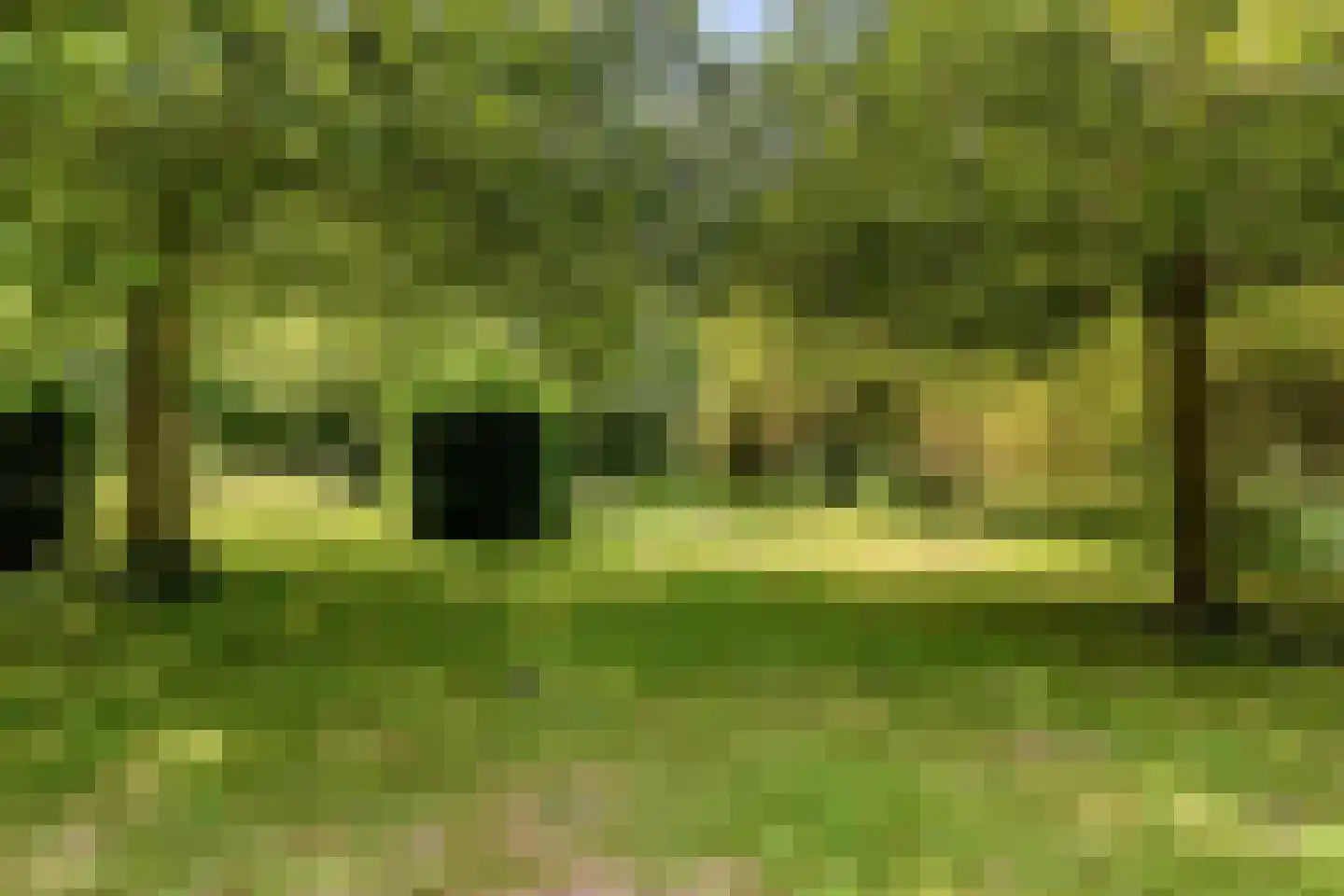 Campweg 3 Sint Philipsland thumbnail 92