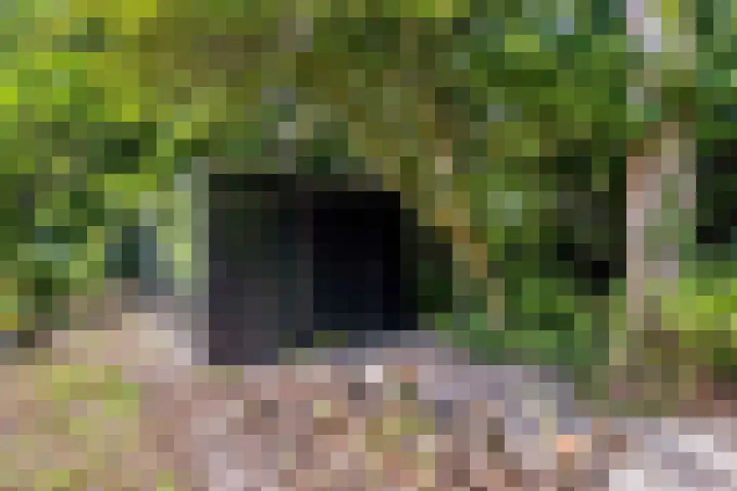 Campweg 3 Sint Philipsland thumbnail 95