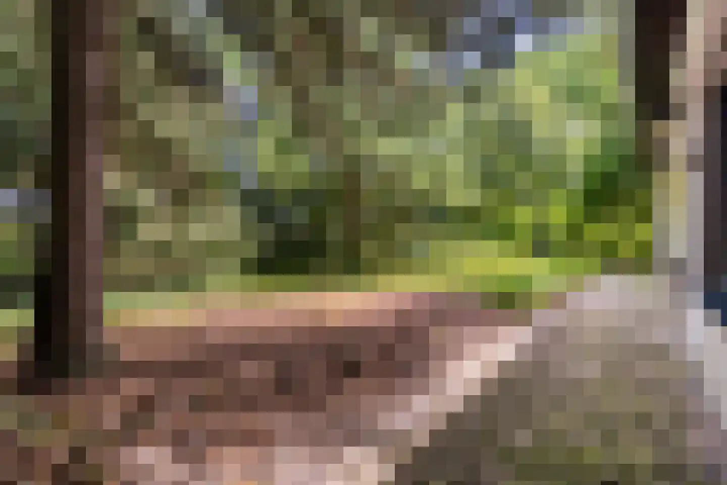 Campweg 3 Sint Philipsland thumbnail 98