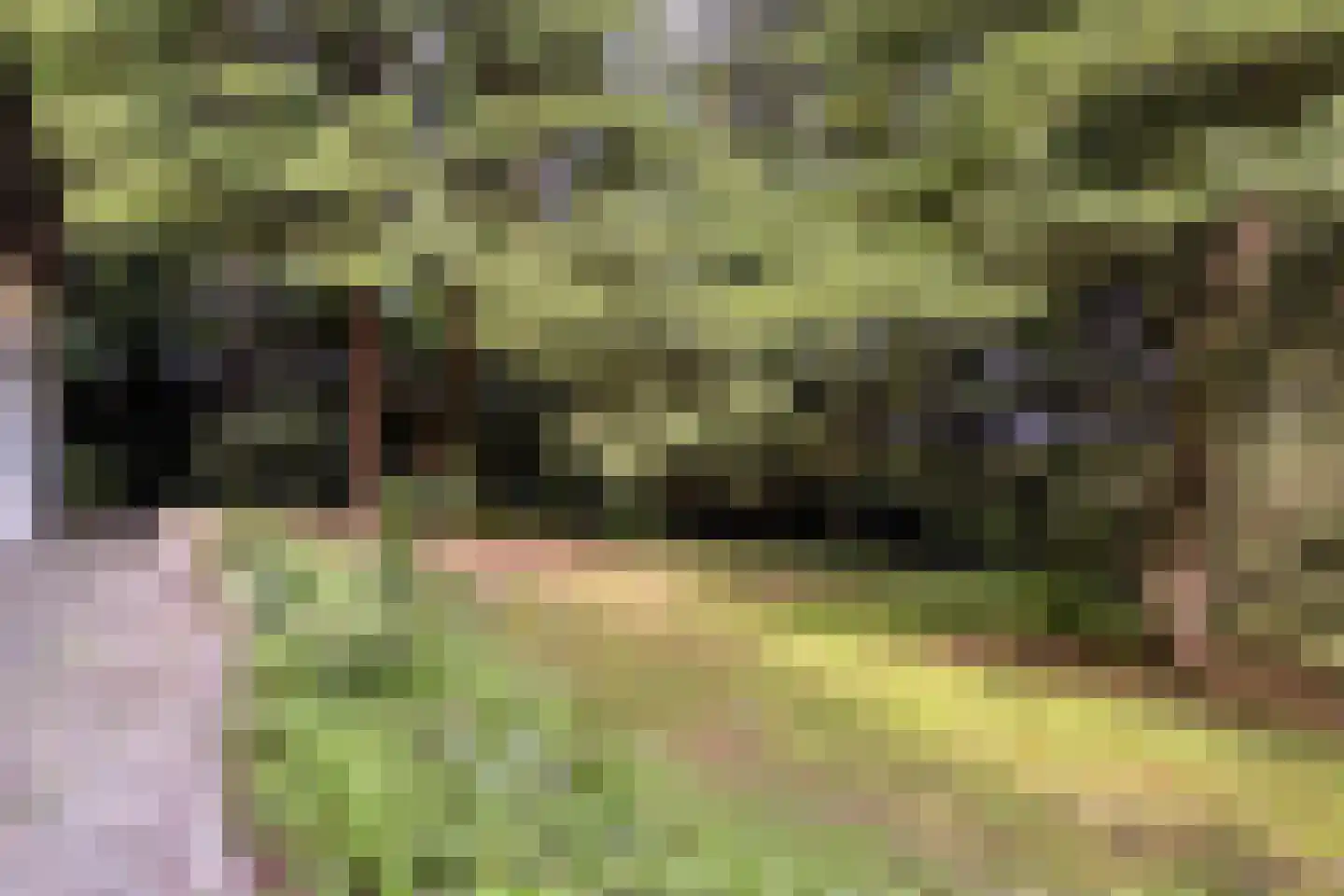 Campweg 3 Sint Philipsland thumbnail 99