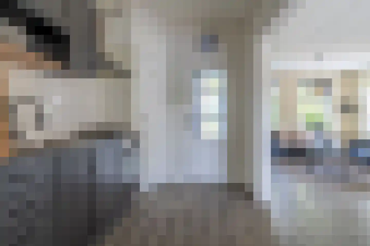 Camstrastrjitte 1 Rinsumageast thumbnail 14