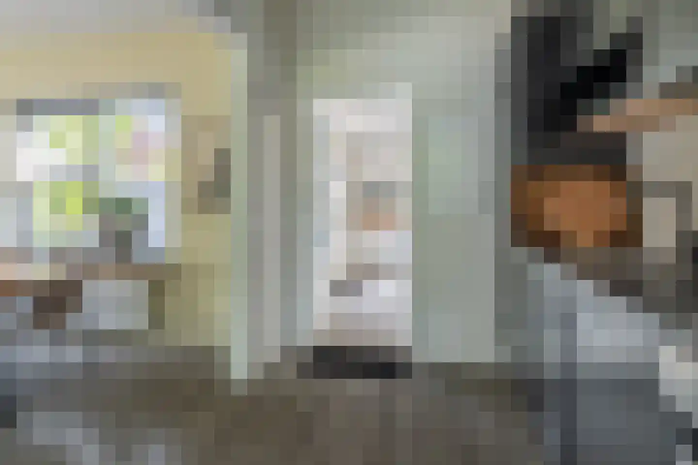 Camstrastrjitte 1 Rinsumageast thumbnail 15
