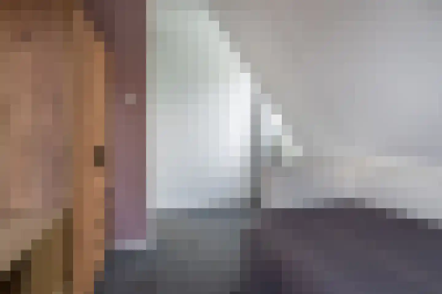 Camstrastrjitte 1 Rinsumageast thumbnail 21
