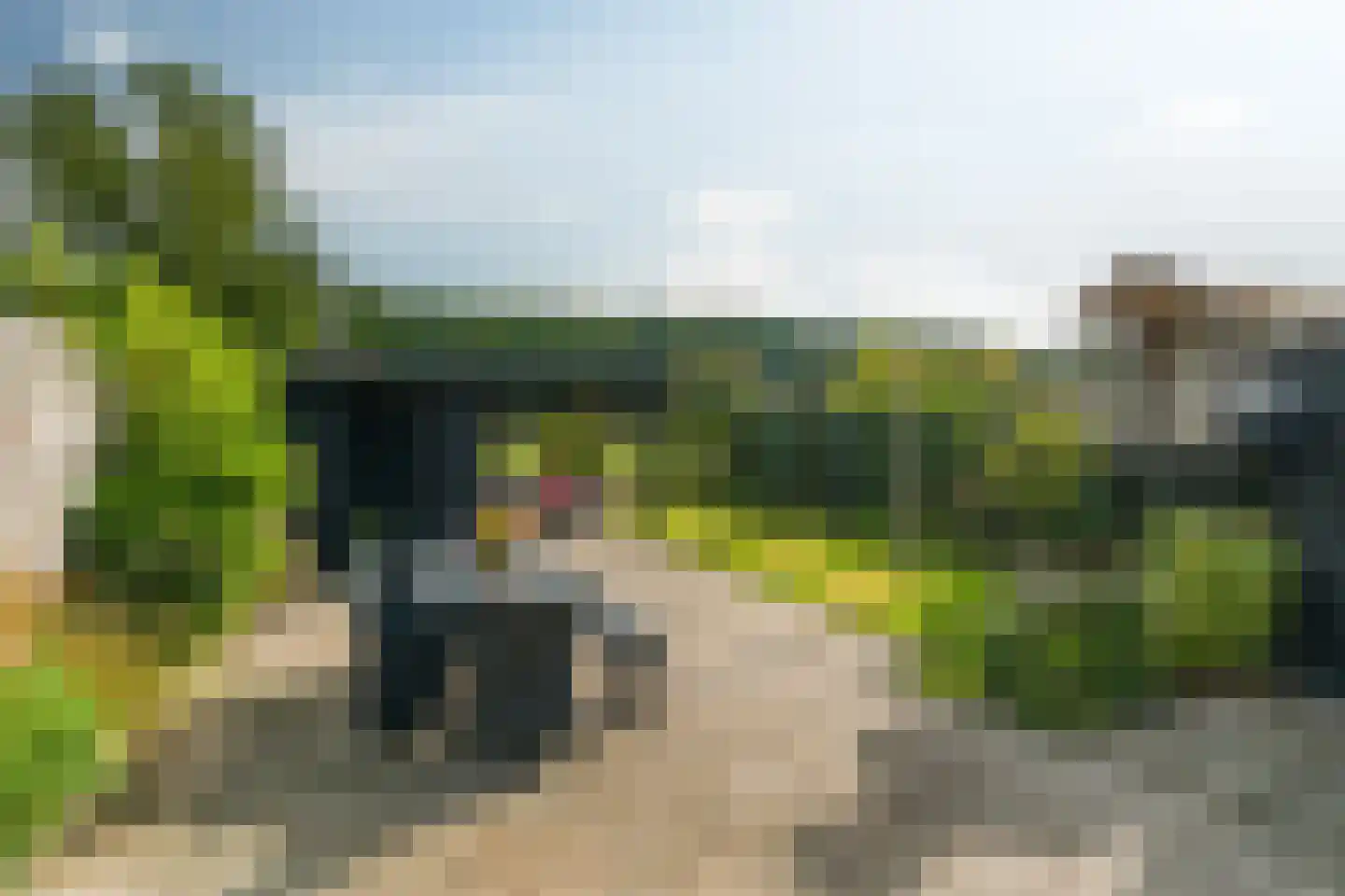 Camstrastrjitte 1 Rinsumageast thumbnail 31