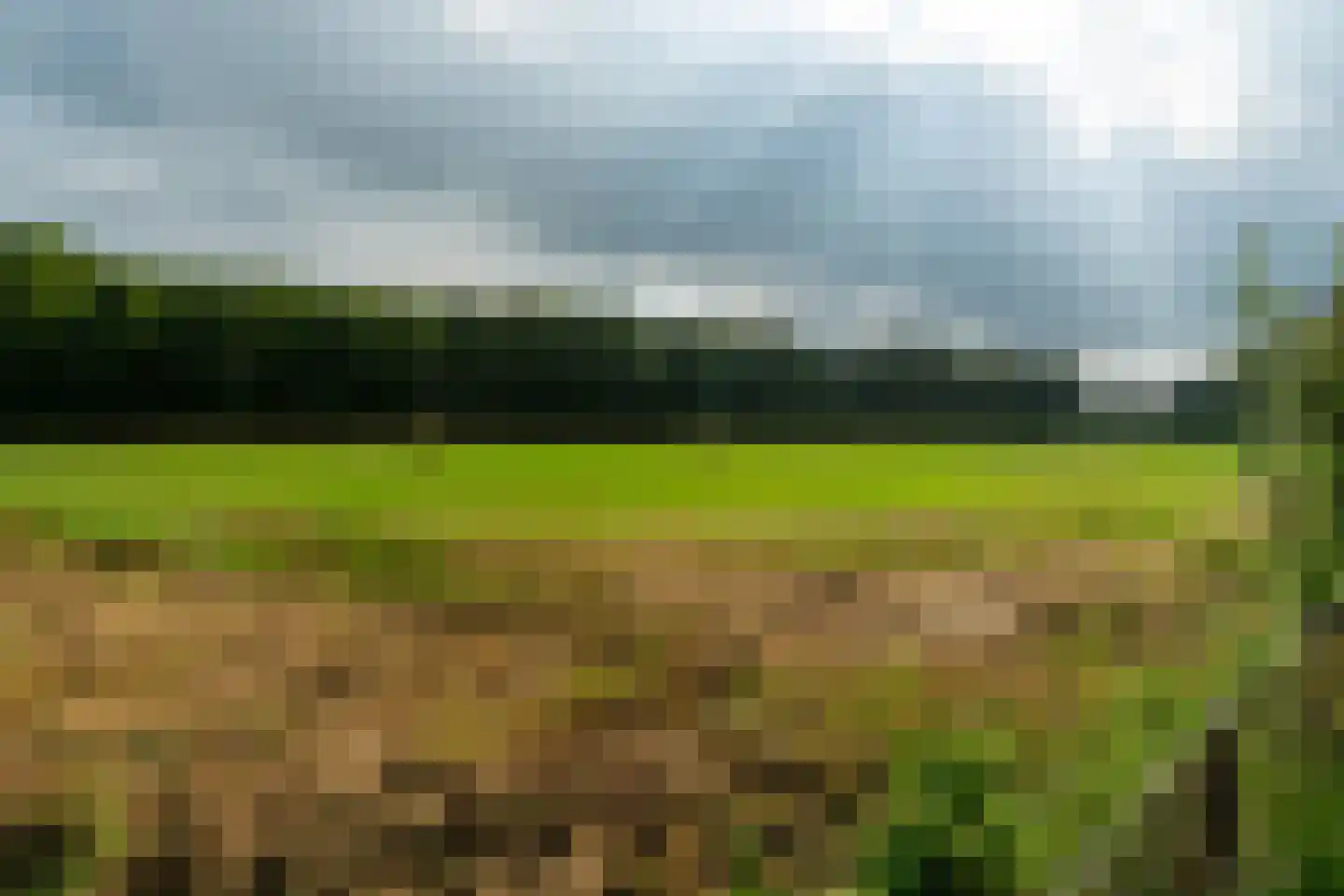 Camstrastrjitte 1 Rinsumageast thumbnail 37