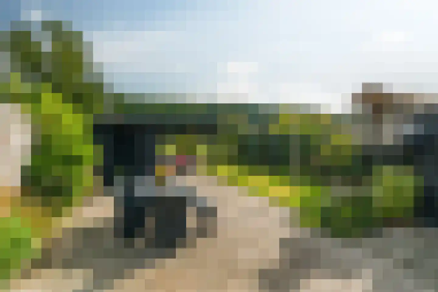 Camstrastrjitte 1 Rinsumageast thumbnail 4