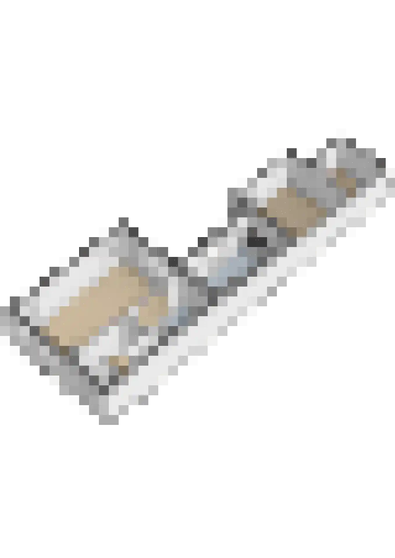 Camstrastrjitte 1 Rinsumageast thumbnail 44