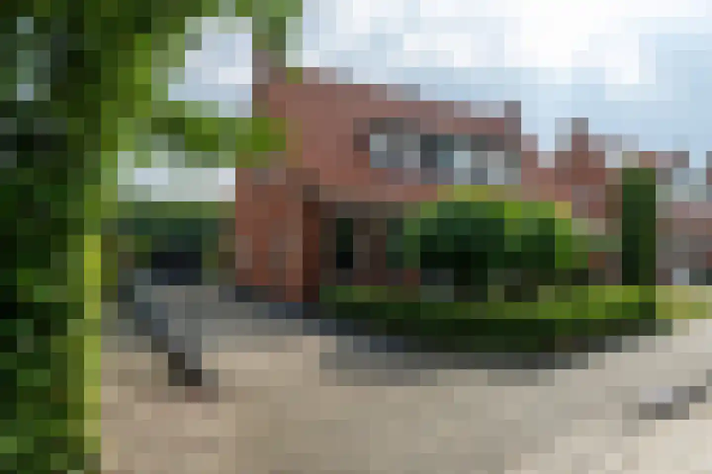 Camstrastrjitte 1 Rinsumageast thumbnail 5