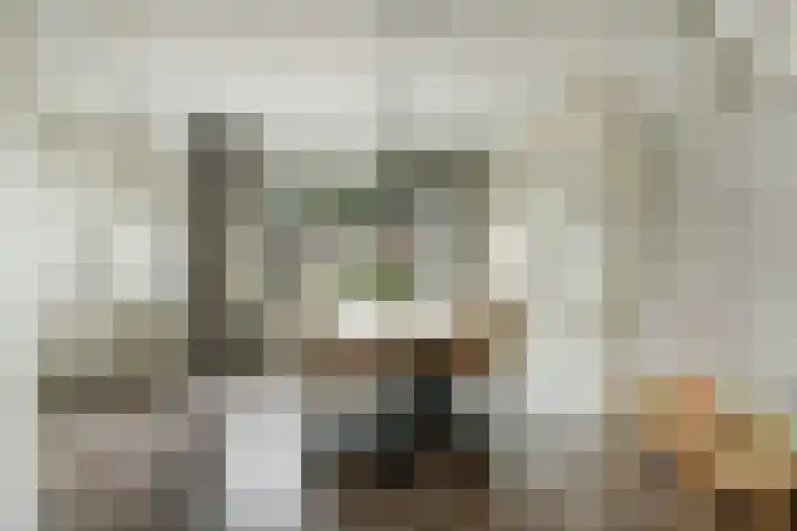 Camstrastrjitte 16 Damwâld thumbnail 10