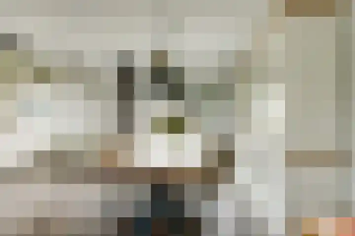 Camstrastrjitte 16 Damwâld thumbnail 11