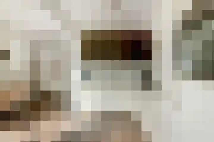 Camstrastrjitte 16 Damwâld thumbnail 14