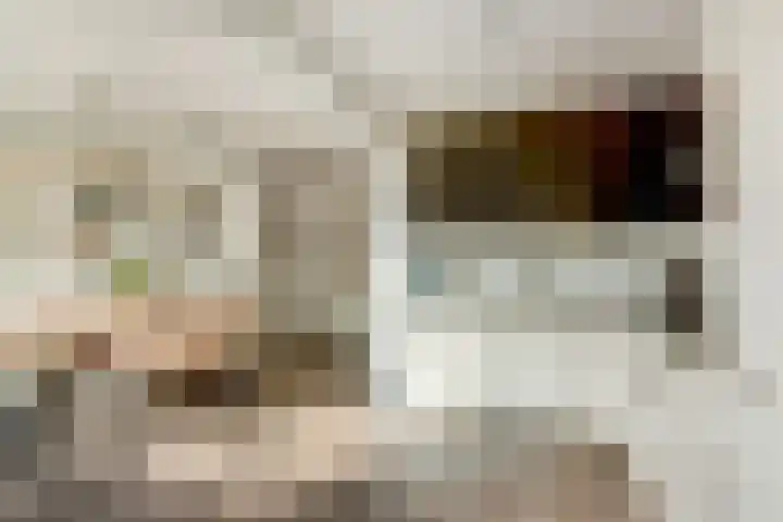 Camstrastrjitte 16 Damwâld thumbnail 15