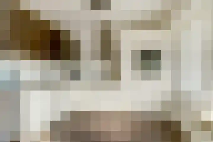 Camstrastrjitte 16 Damwâld thumbnail 16