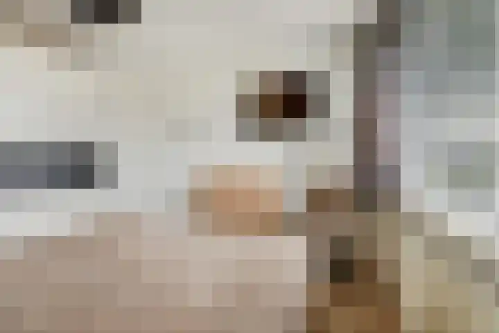 Camstrastrjitte 16 Damwâld thumbnail 18