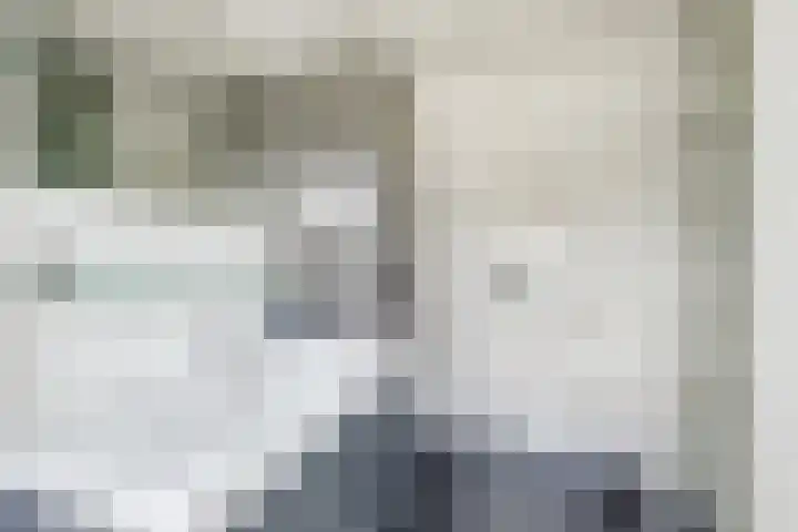 Camstrastrjitte 16 Damwâld thumbnail 19