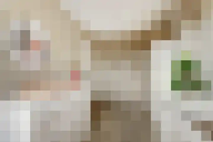 Camstrastrjitte 16 Damwâld thumbnail 22