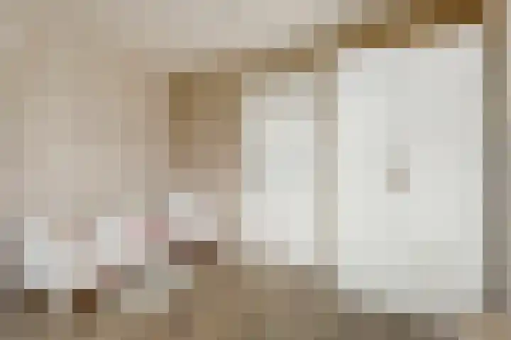 Camstrastrjitte 16 Damwâld thumbnail 23
