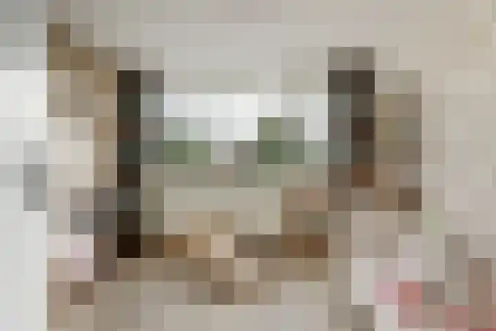 Camstrastrjitte 16 Damwâld thumbnail 24