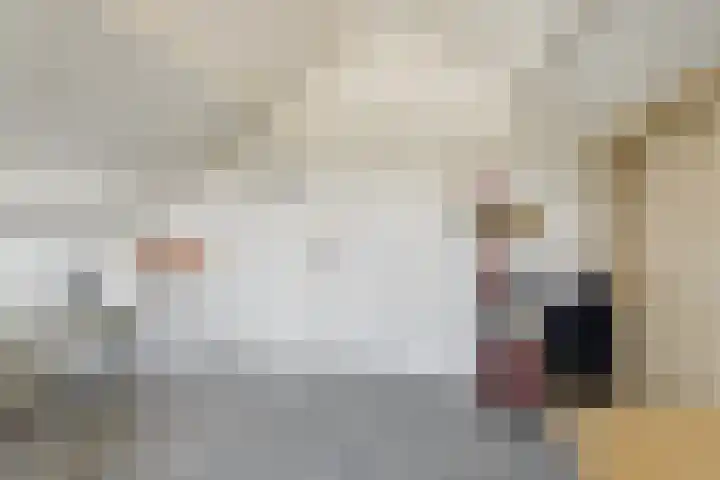 Camstrastrjitte 16 Damwâld thumbnail 25