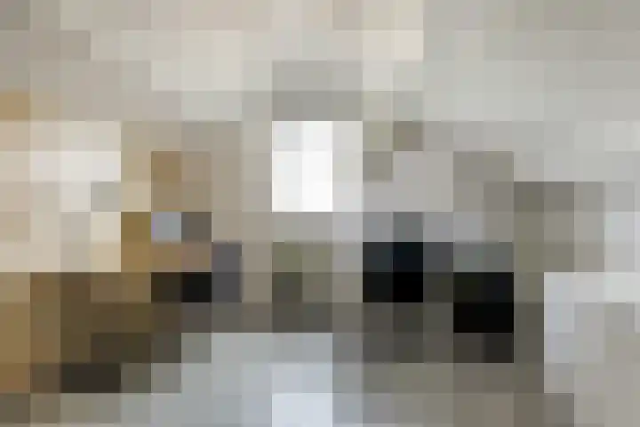 Camstrastrjitte 16 Damwâld thumbnail 26