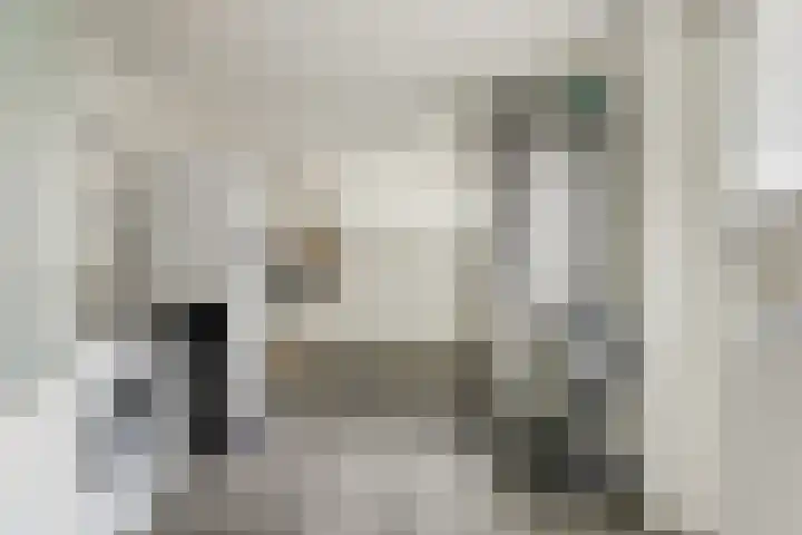 Camstrastrjitte 16 Damwâld thumbnail 27