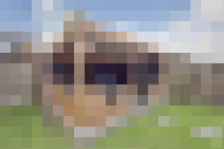 Camstrastrjitte 16 Damwâld thumbnail 30