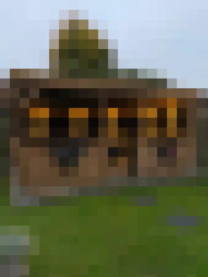 Camstrastrjitte 16 Damwâld thumbnail 31