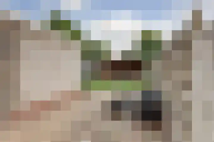 Camstrastrjitte 16 Damwâld thumbnail 32