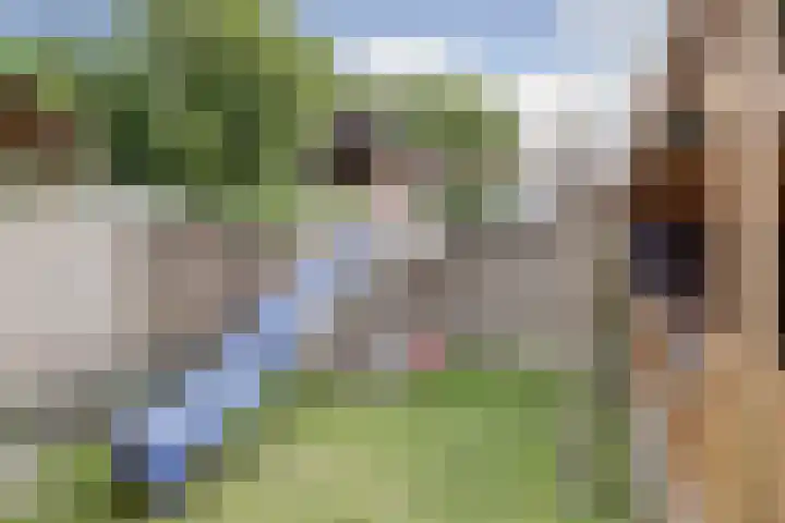 Camstrastrjitte 16 Damwâld thumbnail 35