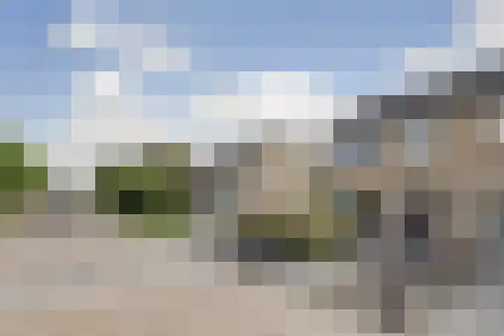 Camstrastrjitte 16 Damwâld thumbnail 36