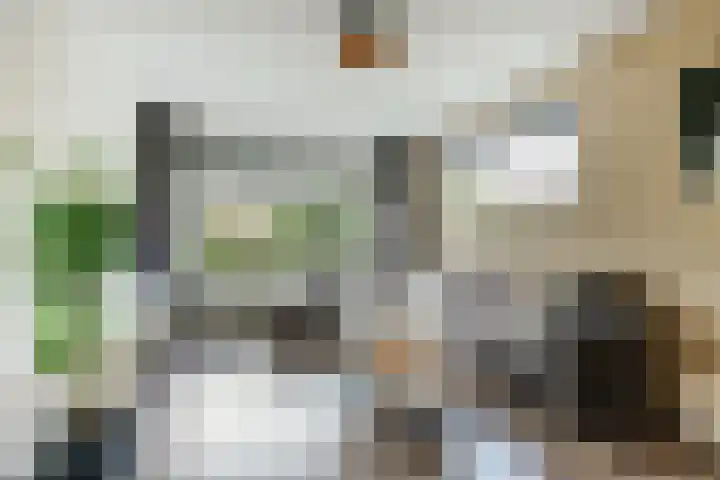Camstrastrjitte 16 Damwâld thumbnail 4