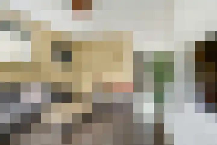 Camstrastrjitte 16 Damwâld thumbnail 9