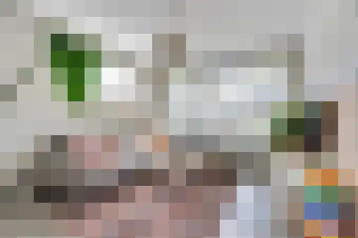 Camstrastrjitte 18 Damwâld thumbnail 10