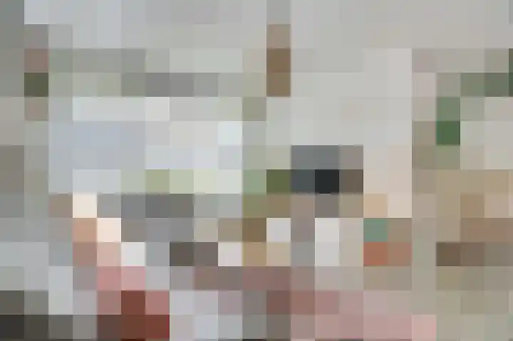 Camstrastrjitte 18 Damwâld thumbnail 11