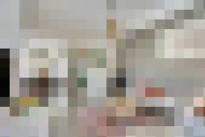 Camstrastrjitte 18 Damwâld thumbnail 12
