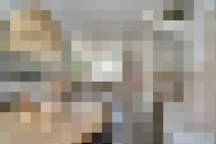 Camstrastrjitte 18 Damwâld thumbnail 13