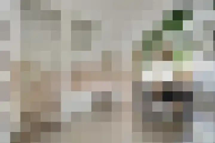 Camstrastrjitte 18 Damwâld thumbnail 14
