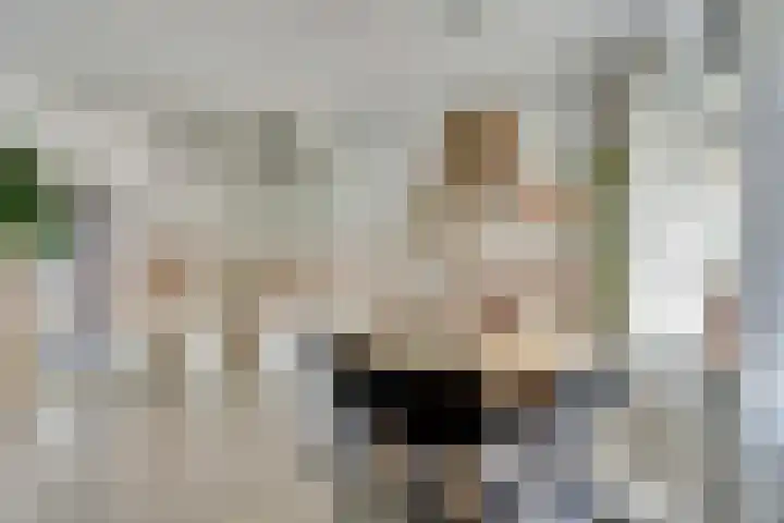 Camstrastrjitte 18 Damwâld thumbnail 15