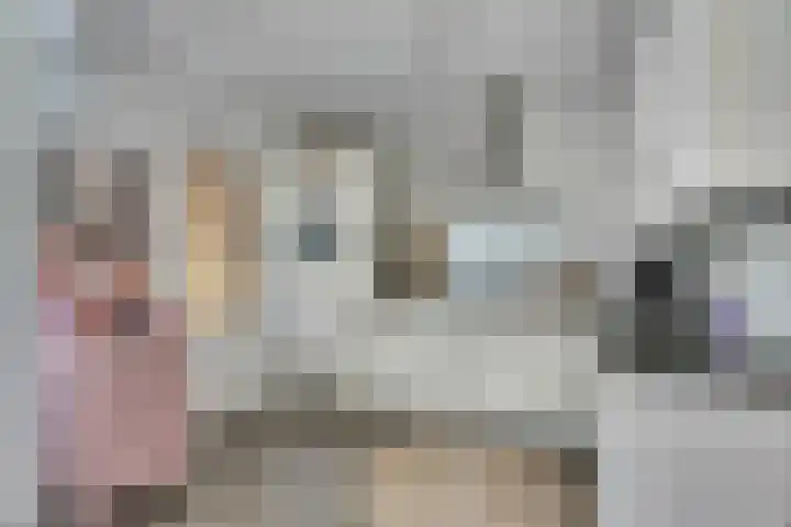 Camstrastrjitte 18 Damwâld thumbnail 16