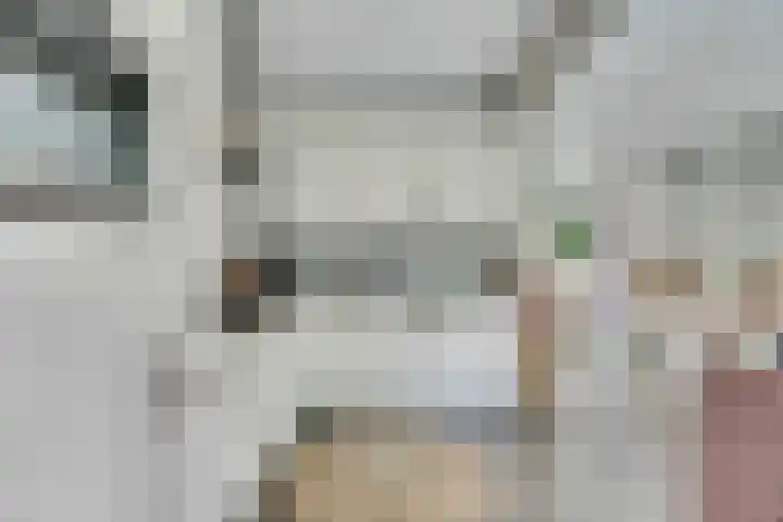 Camstrastrjitte 18 Damwâld thumbnail 17