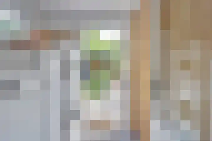 Camstrastrjitte 18 Damwâld thumbnail 18