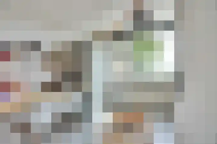 Camstrastrjitte 18 Damwâld thumbnail 23