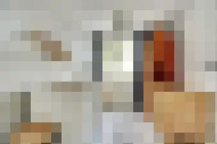 Camstrastrjitte 18 Damwâld thumbnail 24