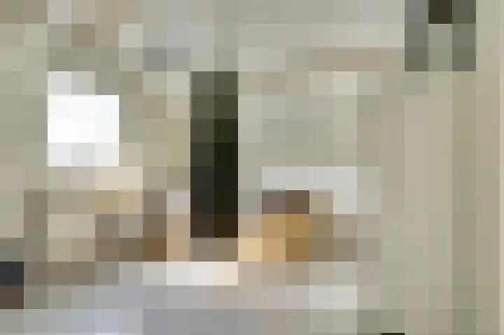 Camstrastrjitte 18 Damwâld thumbnail 29