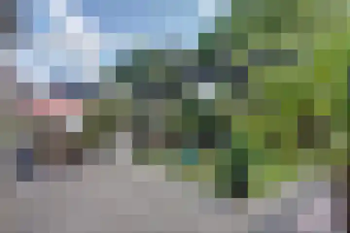 Camstrastrjitte 18 Damwâld thumbnail 33