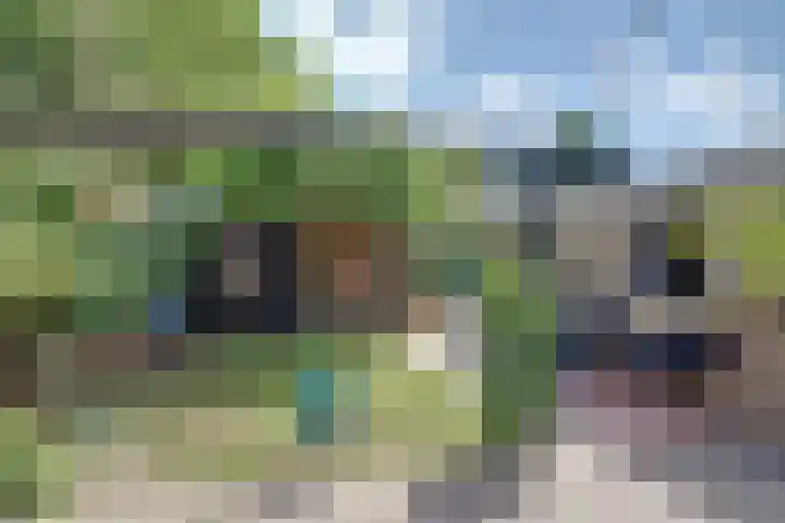 Camstrastrjitte 18 Damwâld thumbnail 34