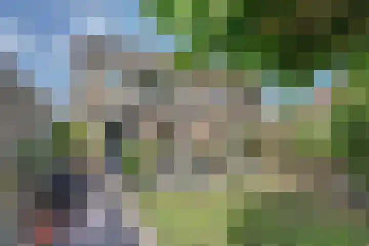 Camstrastrjitte 18 Damwâld thumbnail 35