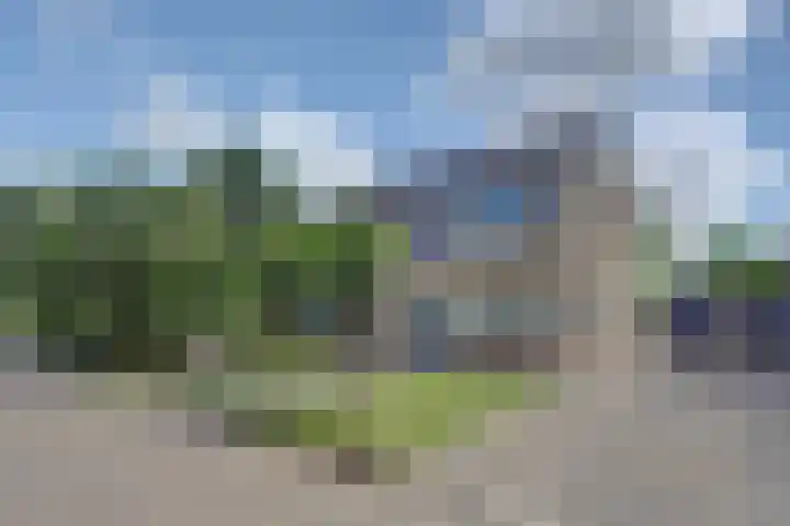 Camstrastrjitte 18 Damwâld thumbnail 43