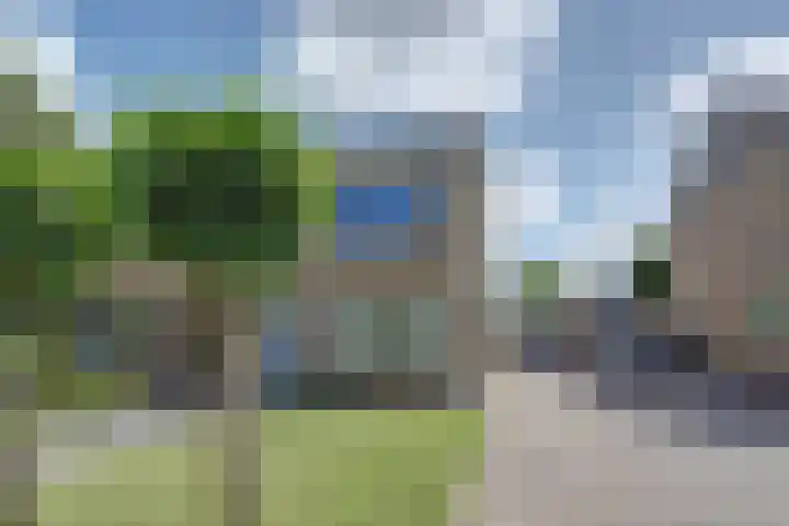 Camstrastrjitte 18 Damwâld thumbnail 6
